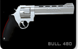 Bull480